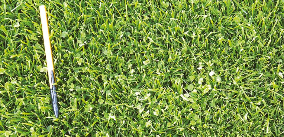 GrassLopata